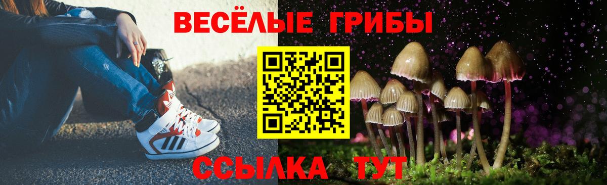 Галлюциногенные грибы GOLDEN TEACHER  Вход с VPN  Галлюциногенные грибы Psilocybine cubensis  Энгельс 